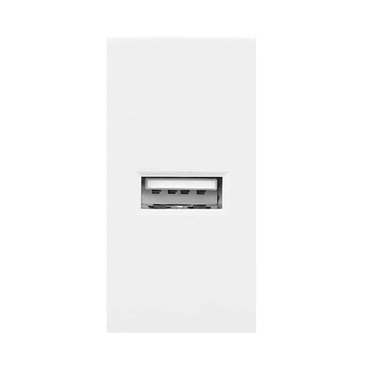 Predinštalovaný panel NOEN Modul USB Port Predinštalovaný panel NOEN Modul USB Port, zásuvný USB, biely – Obrázok 1