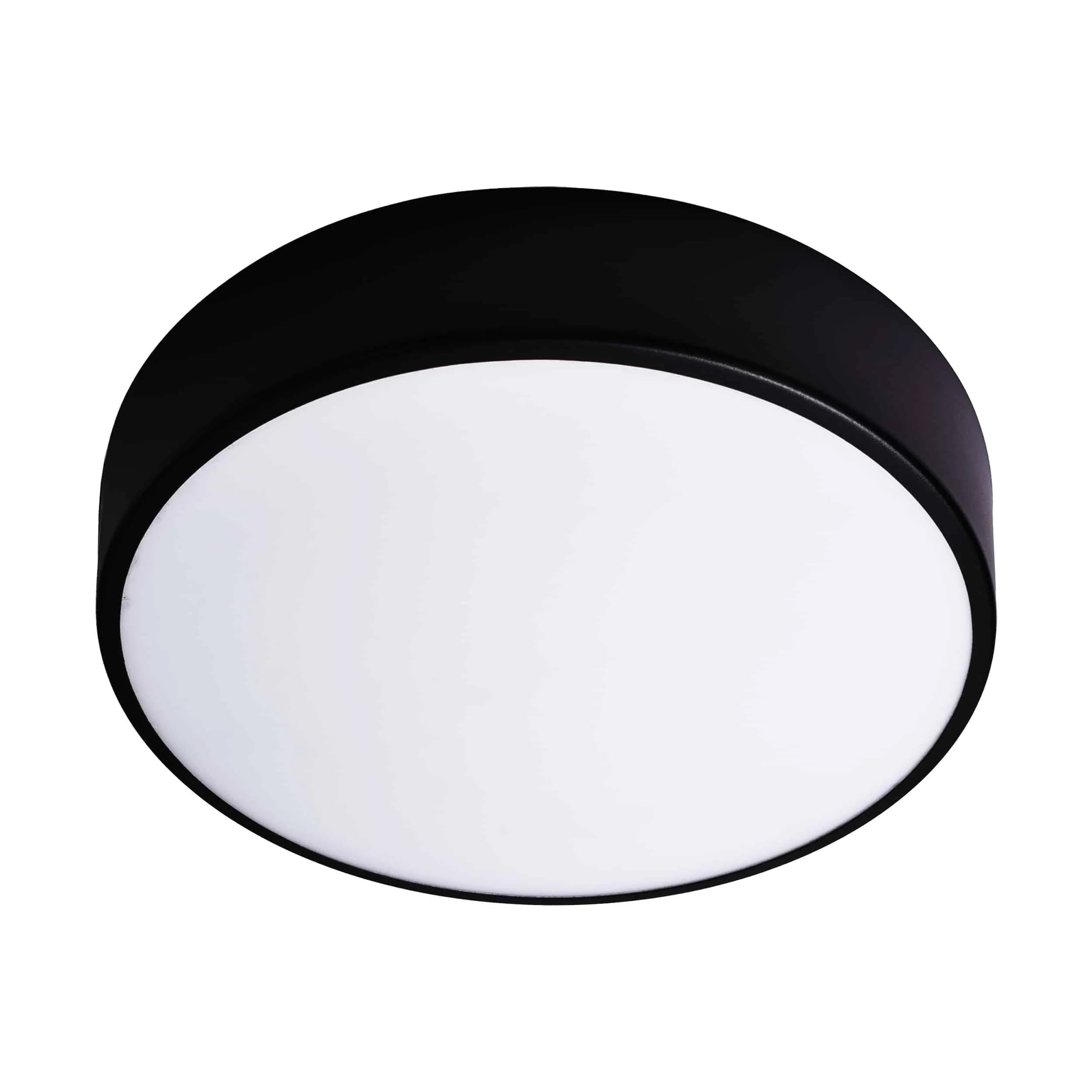 OVO ceiling light 2xE27 ADVITI OVO stropné svietidlo 2xE27, 2x24W, brúsne sklo, matný plastový difúzor, IP54, Ø 300 – Obrázok 1