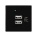 NOEN USB modul s dvomi portami, predinštalovaný panel, USB plug-in, pevný