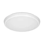 CERS LED stropné svietidlo, 22W